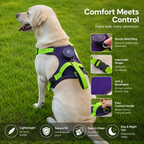 Automatic Retractable Leash And Harness