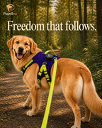 Automatic Retractable Leash And Harness