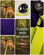Automatic Retractable Leash And Harness