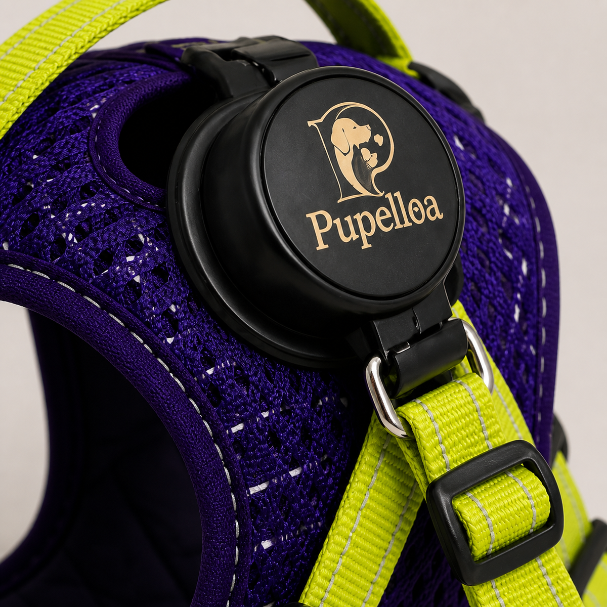 Automatic Retractable Leash And Harness